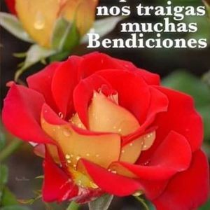 Meet your Posher, Juana